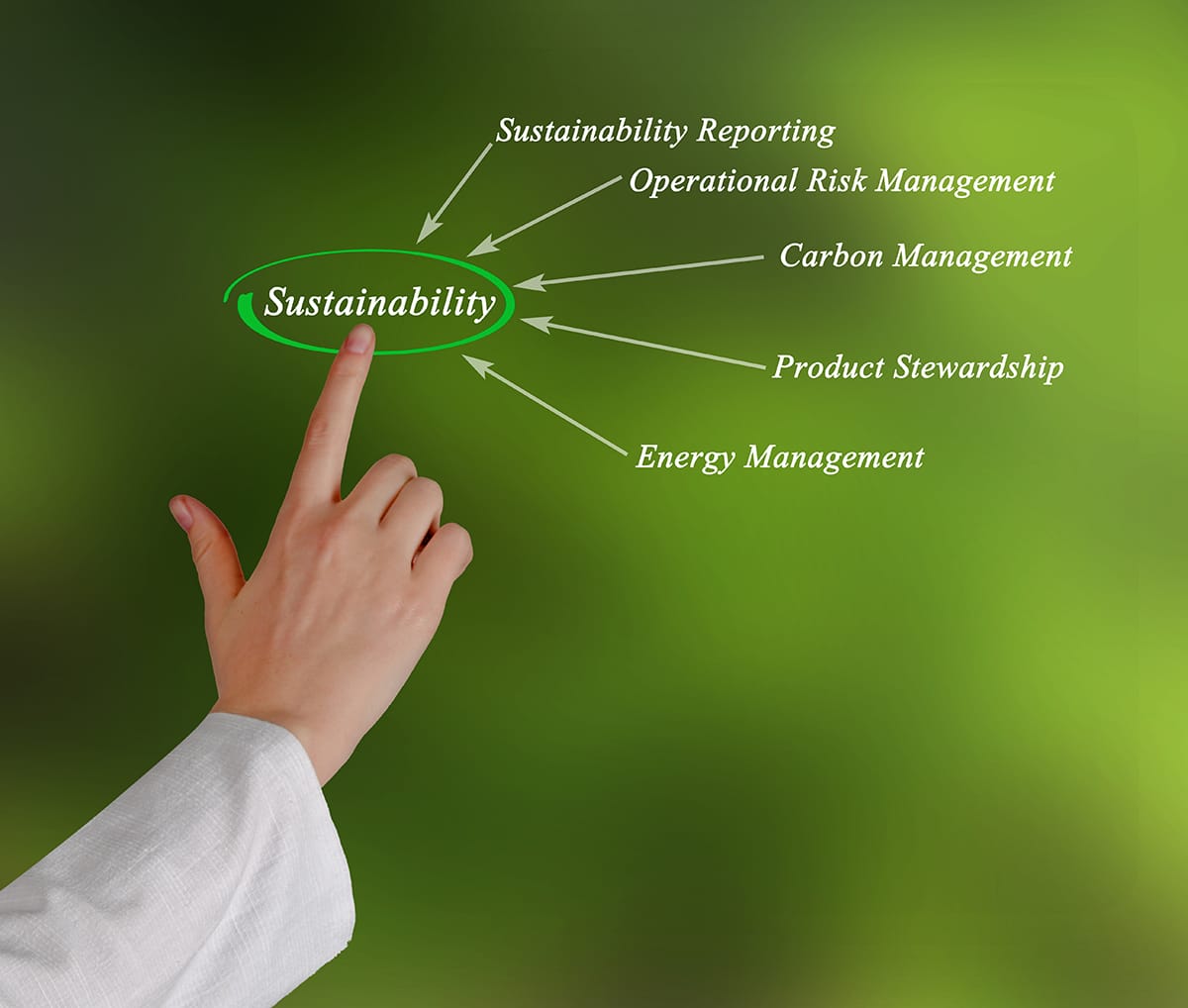 Presentation of Diagram of sustainability